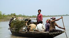 The Sundarbans is the biggest mangrove swamp in the world and contains valuable honey – but the forest is stalked by tigers