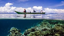 Heading across the richest reefs on earth to hunt manta rays – not to kill them, but to tag them with radio tracking devices