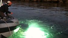 Dive supervisor Scott Carnahan checks out a mysterious glow in the water beneath the boat