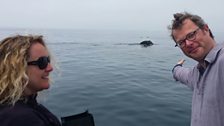 Hugh Fearnley-Whittingstall and Producer Joanne Stevens admire a passing humpback whale in Monterey Bay, California