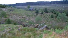 Bridge to Spithope Bothy