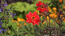 The Perennial Legacy Garden, designed by Paul Hervey-Brookes