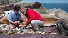 James Dilley teaches Nick how to knap flint