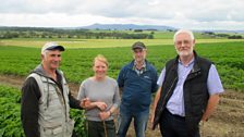 Tattie Inspectors