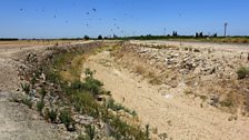 Dry river bed