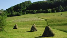 On Your Farm Royal Special: Prince Charles on Biodiversity