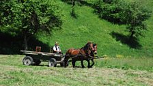 On Your Farm Royal Special: Prince Charles on Biodiversity