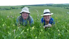 Charlotte Smith in a typical Transylvanian wildflower meadow with botanist Dr John Akeroyd.