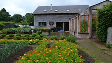 The kitchen garden