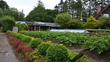 Samye Ling Kitchen Garden