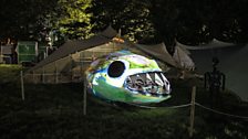 A big fish at Stendhal Festival of Art...kind of.