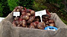 Potatoes and the honesty box