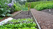 Salad beds at Threave Gardens