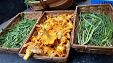 Foraged chanterelles