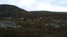 Grouse Shooting in Glen Clova