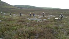 Grouse Shooting in Glen Clova