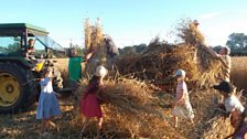 Heritage wheat harvest, Sussex; Courtesy of @Brockwell_Bake