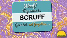 Scruff's badge