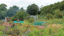 Allotment view