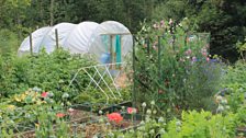 Belmont allotments