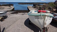 Dunseverick harbour