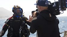 Steve Backshall gets ready for his dive with the sea lions.