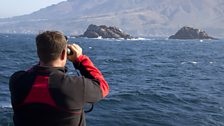 Steve Backshall gets a closer look at his dive site