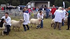 Rare Breeds Show