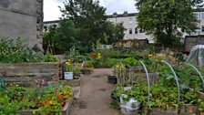 Raised beds