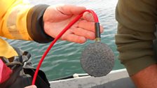 Hydrophone