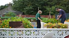 Kim and Dougie spray the plants for black fly.