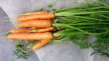 Carrots