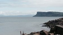 Seaweed in Ballycastle