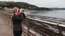 Birdwatching in Glenarm