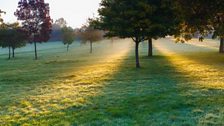 A crisp autumn morning in Streatham.