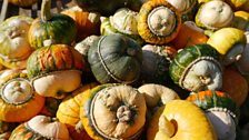 Hilary's squashes are perfect for an autumn soup