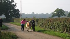 In Fundenhall, a special guest was brought to see Sophie