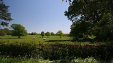 Andy Howes - near Baddesley Clinton