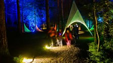 The Enchanted Forest Light Show at Faskally Wood