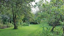 Long View Of The Garden