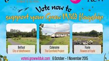 'Grow Wild' vote