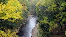 Afon Elwy