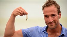 Ben Fogle with the bait fish he managed to catch with a net