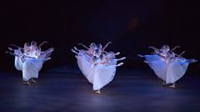 The Royal New Zealand Ballet