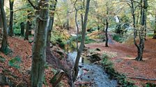 Crawfordsburn and Helen's Bay Walk and Cultural Trail