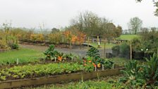 Incredible Edibles and Slemish Garden Market