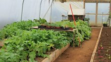 Incredible Edibles and Slemish Garden Market