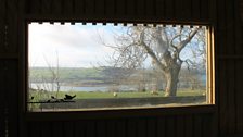 Framed Islandmagee landscape.jpg