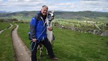 Derek and his llama Eddie take time out for a spot of bonding