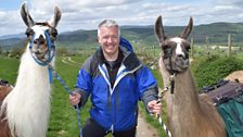 Derek and his new walking companions